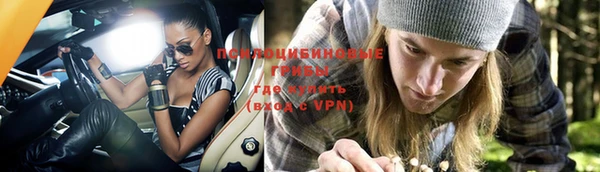хмурый Волосово