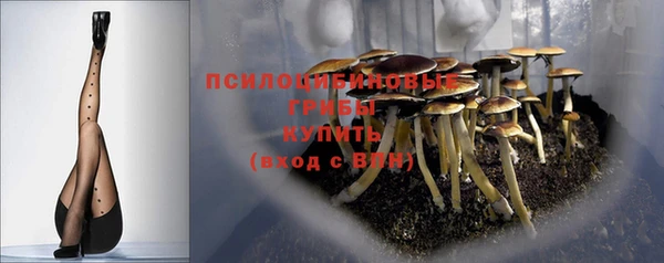 прущие крисы Володарск