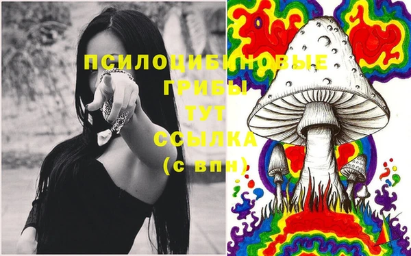 хмурый Волосово