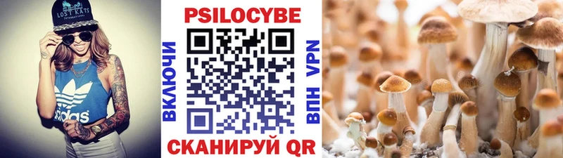 Галлюциногенные грибы GOLDEN TEACHER  Купить  Котельнич 